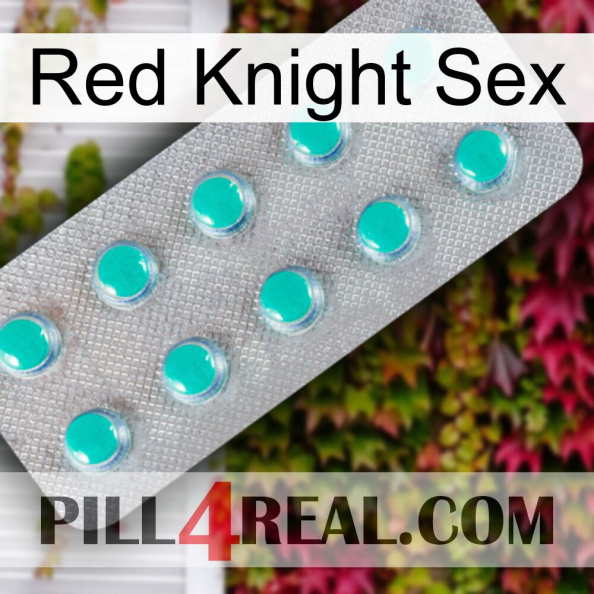 Red Knight Sex 28.jpg